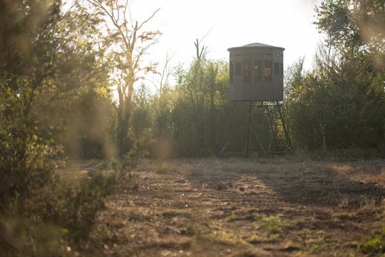 360 Pro hunting blind on a raised platform surrounded by trees in a field.