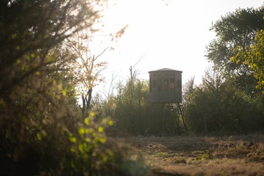360 Pro hunting blind positioned among trees in a natural outdoor setting.